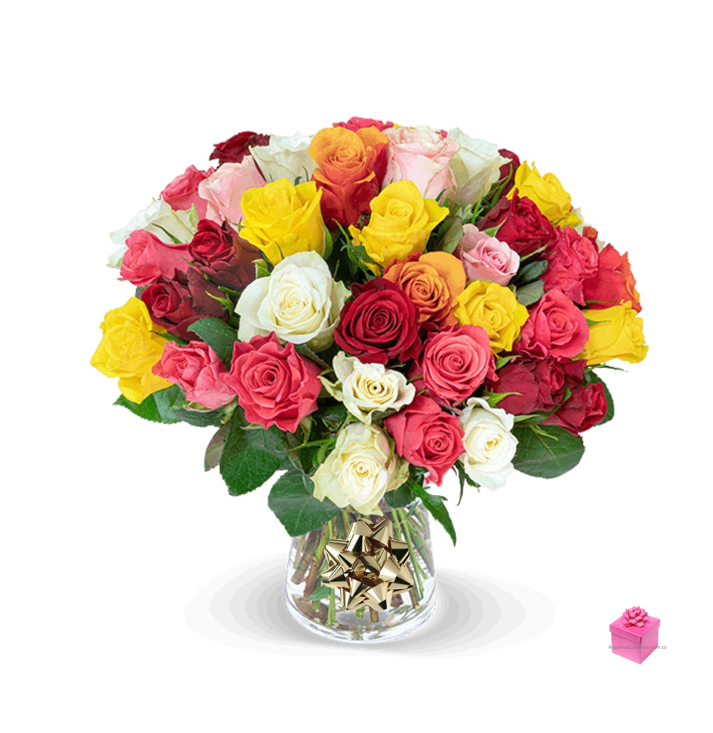 3 Docenas de Rosas Premium multicolor de Tallo largo en Florero a domicilio Colombia , Enviar Rosas arcoiris a Bogotá, Envíos prioritarios a toda Colombia sin costo adicional Cali, Medellín, Bucaramanga,Cartagena, Santa Marta, Armenia, Pereira, Ibagué. Paypal