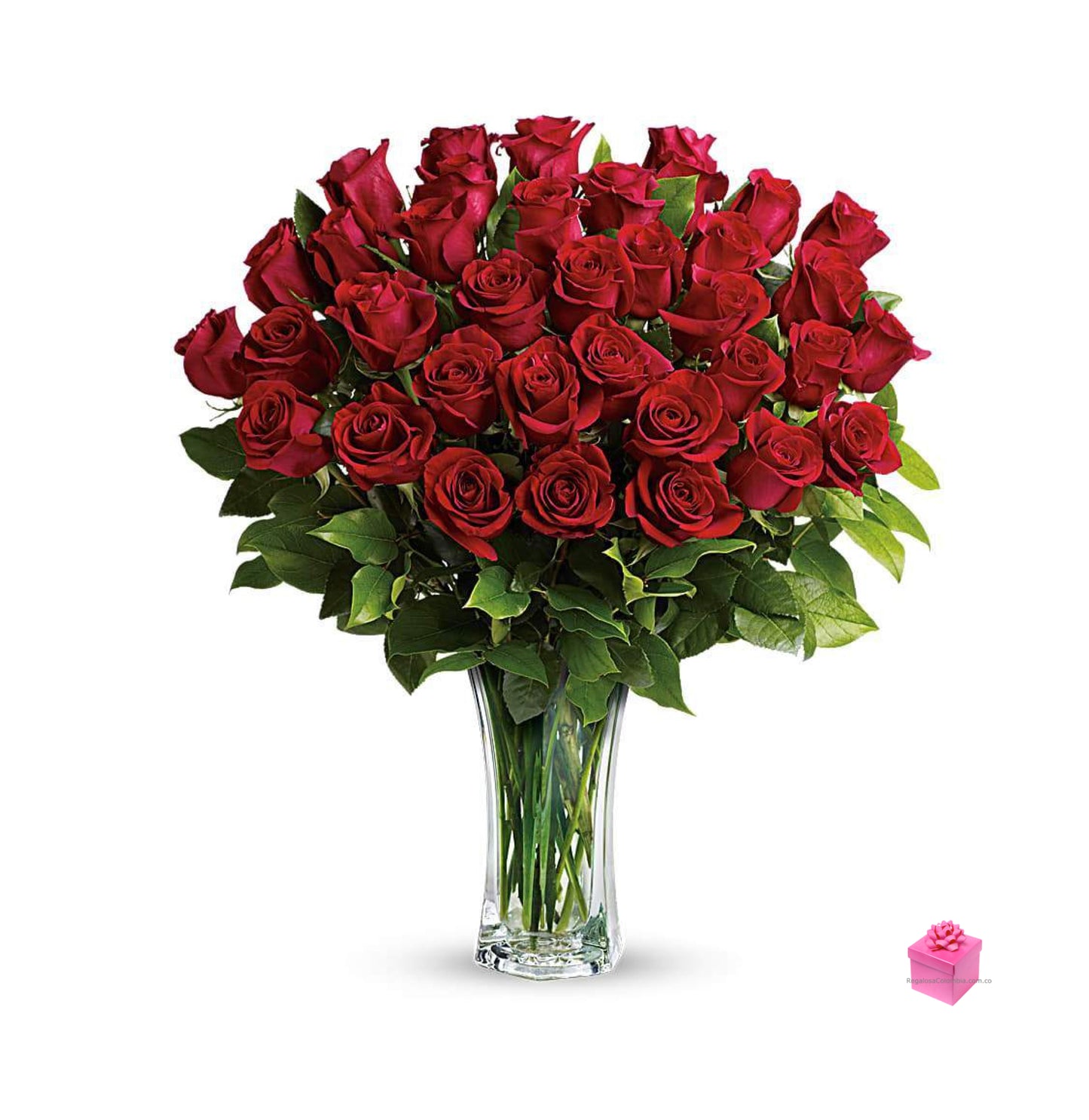 3 Docenas de Rosas Rojas de tallo largo, tipo exportación en Florero a Colombia. Envío de Rosas a Colombia