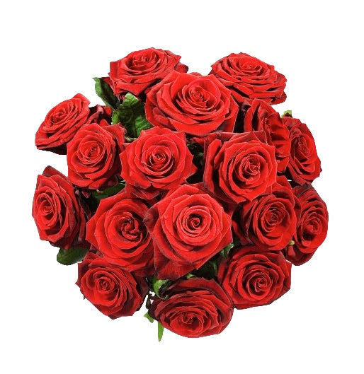Enviar Bouquet de 12 rosas rojas a domicilio en Colombia