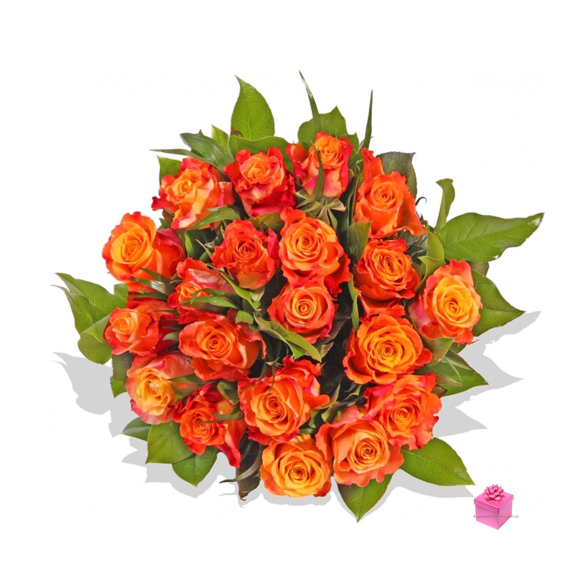 Bouquet de Rosas premium Orange. Envíos a Colombia  Envía este exquisito bouquet de 24 Rosas de tallo largo color naranja a Colombia.