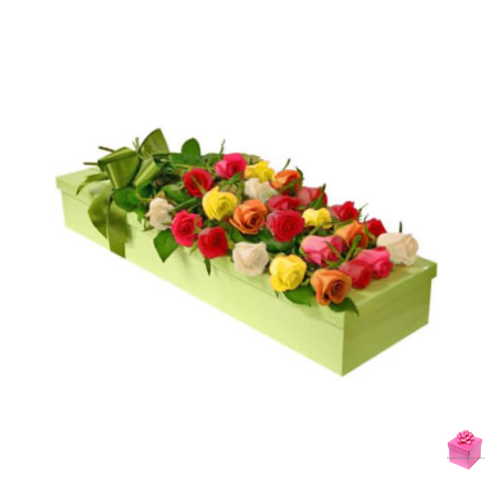 Dos Docenas de finas Rosas multicolor de tallo largo tipo exportación en Estuche decorativo. Incluye empaque, moño, tarjeta y entrega a domicilio.